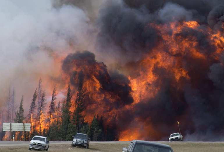 Alberta orman yangınları