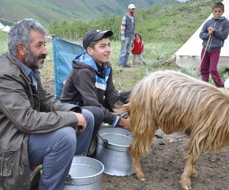 Çemişgezekli TEOG şampiyonu Mahir artık Robert’li oldu