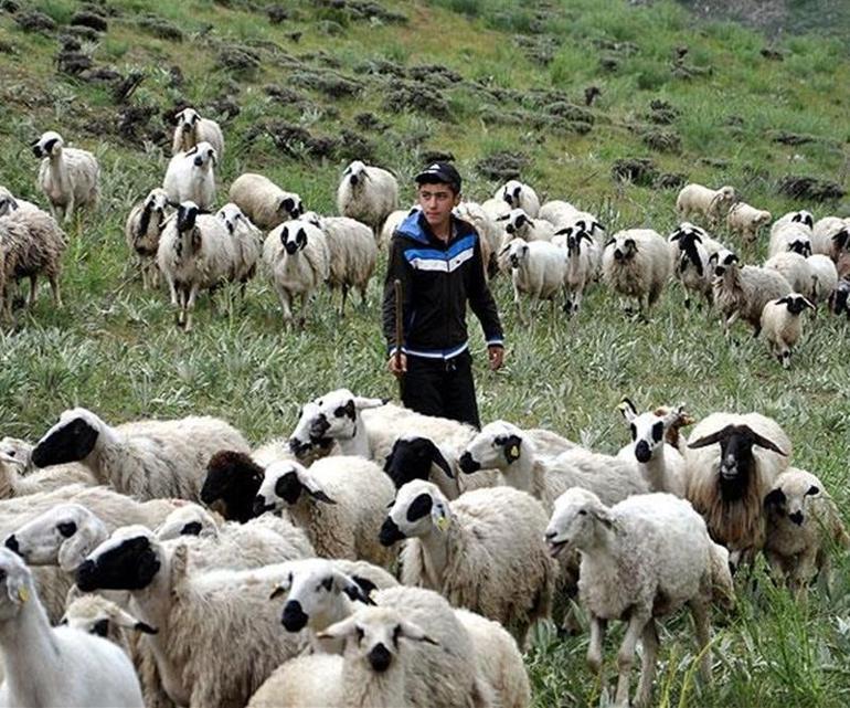 Çemişgezekli TEOG şampiyonu Mahir artık Robert’li oldu