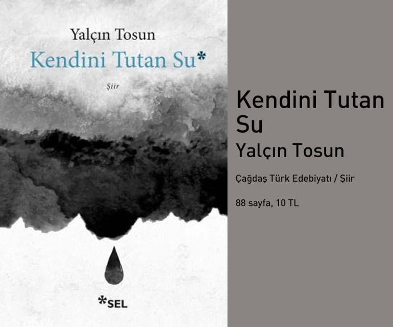 Alain de Bottonun Aşk Dersleri Türkçede