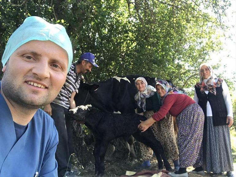 109 kiloluk buzağı sezaryenle doğdu