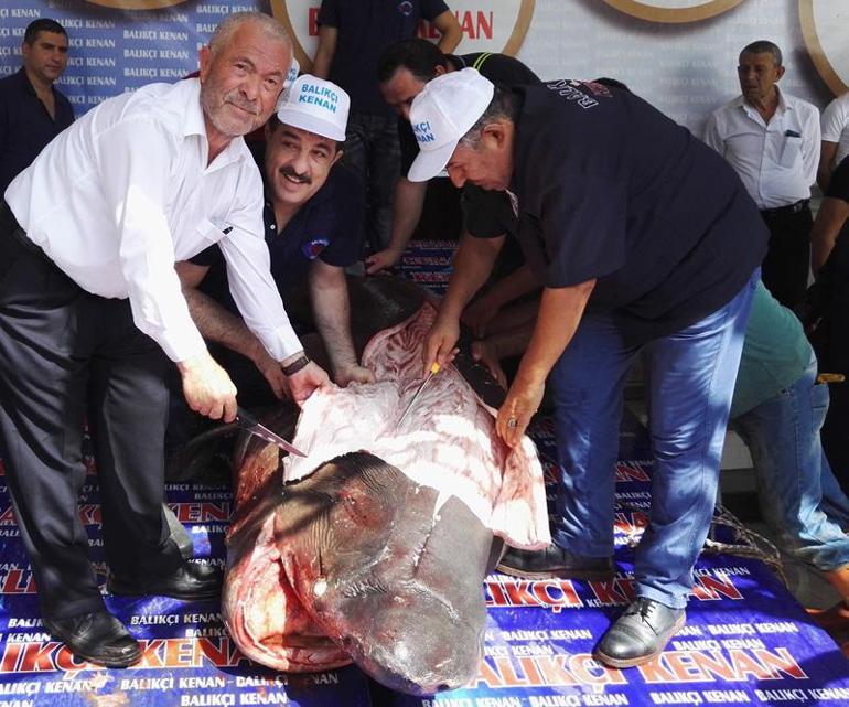 İstanbulda kanser hastalarına köpek balığı eti dağıtıldı