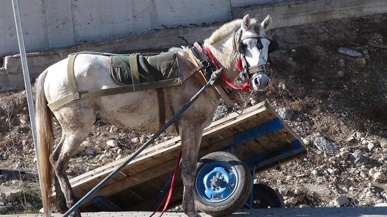 At kontrolden çıktı, çektiği arabadaki 3 kişiyi yola savurdu