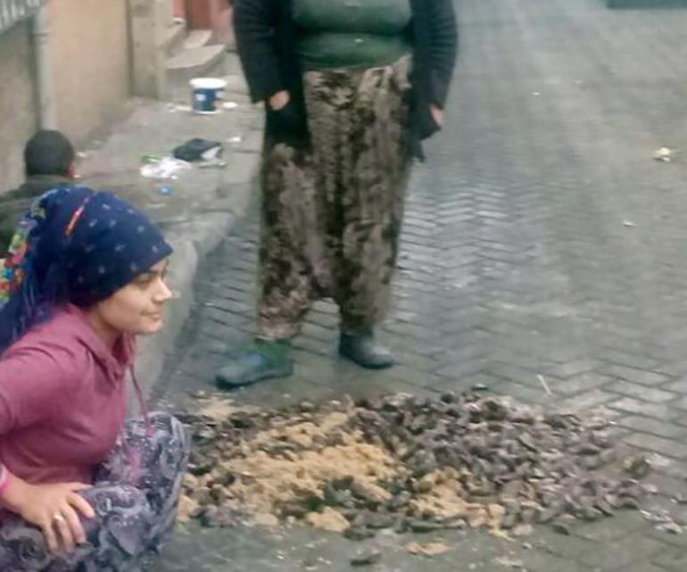 Beyoğlu’nda sağlıksız imalathanelere baskın: 2 ton midye dolmaya el konuldu