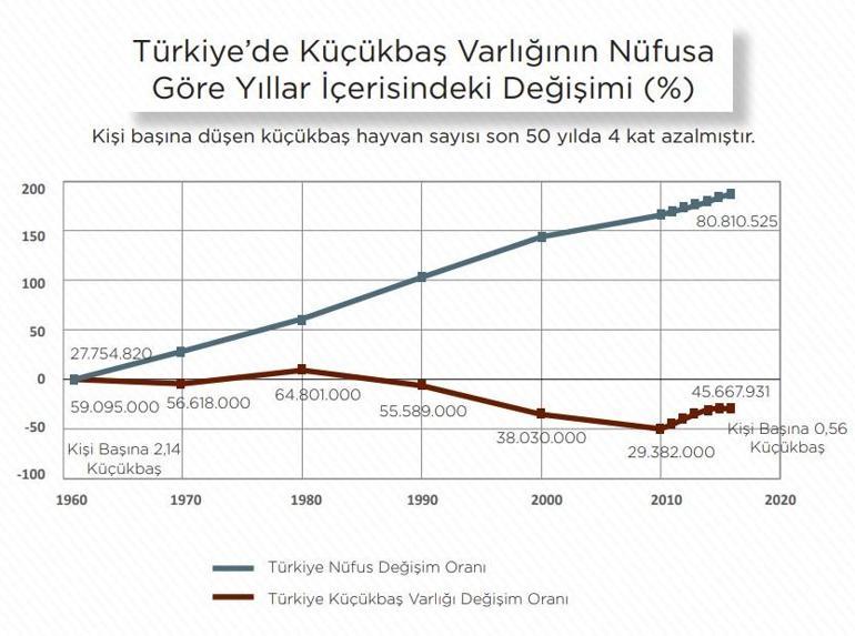 300 koyun TİGEM başvuru şartları | Koyun desteklemesi 2018