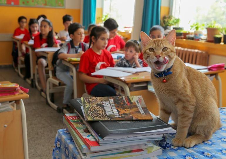 Öğrencilerin sevgilisi Tombi kitap kahramanı oldu