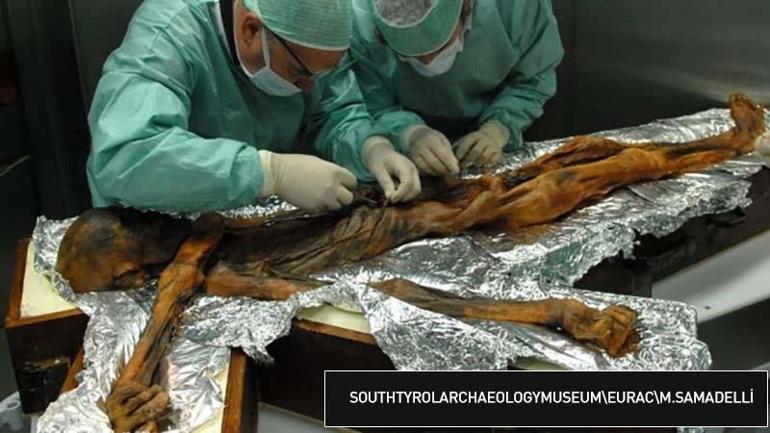 Bakır Çağı insanları ne yiyordu 5 bin 300 yaşındaki Buz Adam Ötzinin son öğünü