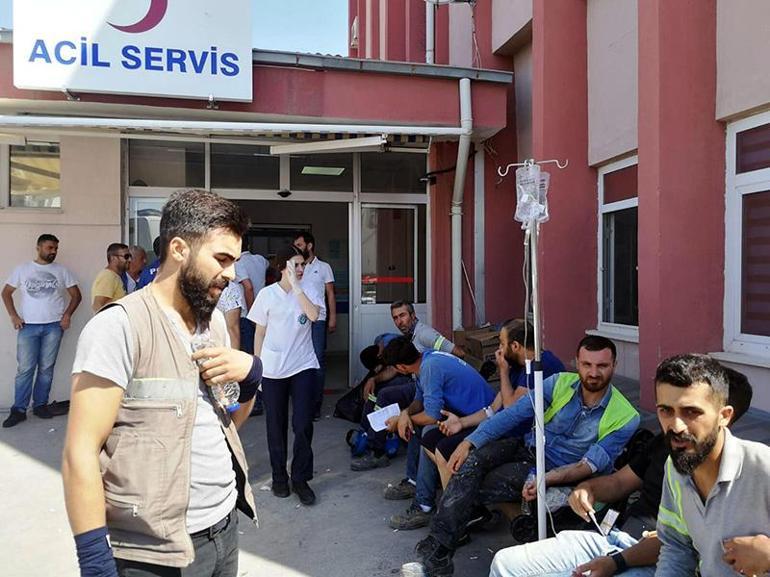 İzmirde akşam yemeği 700 işçiyi hastanelik etti