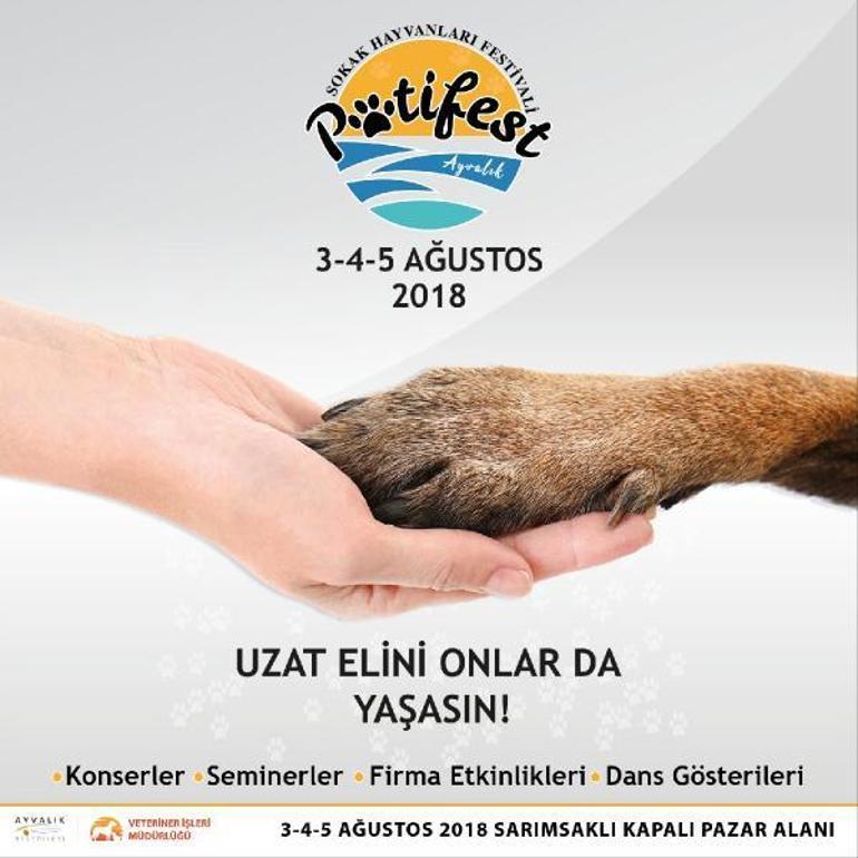 Türkiyede bir ilk Ayvalıkta sokak hayvanları festivali düzenlenecek