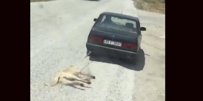 Otomobilin arkasına bağladığı köpeği sürükledi