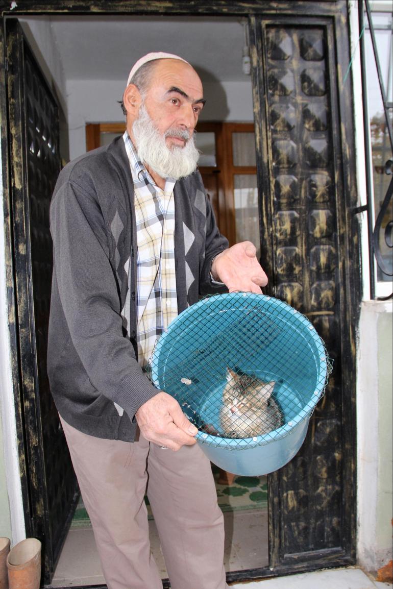 Hayvanlarını telef eden yaban kedisini doğaya bıraktı