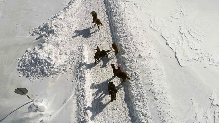 Atlar, kar üstünde yaz yarışlarına hazırlanıyor