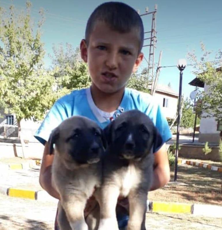 Kalp krizinden ölen çocuğu son yolculuğunda köpeği yalnız bırakmadı
