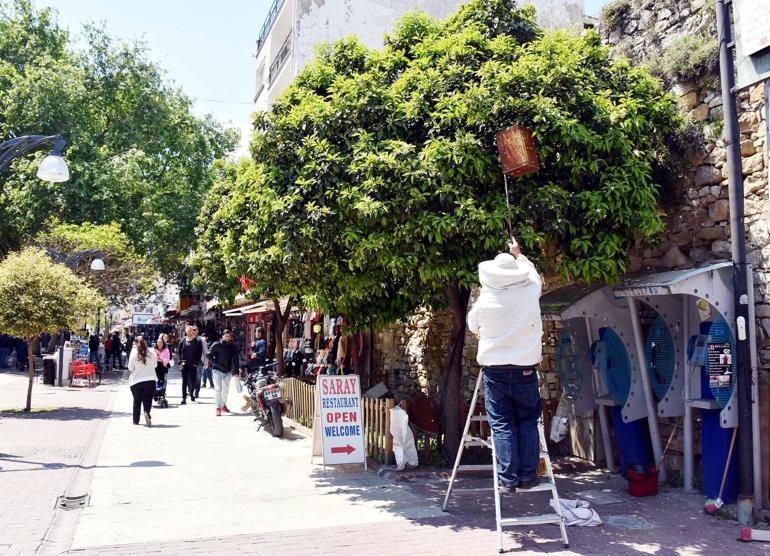 Kuşadasında tedirgin eden görüntü