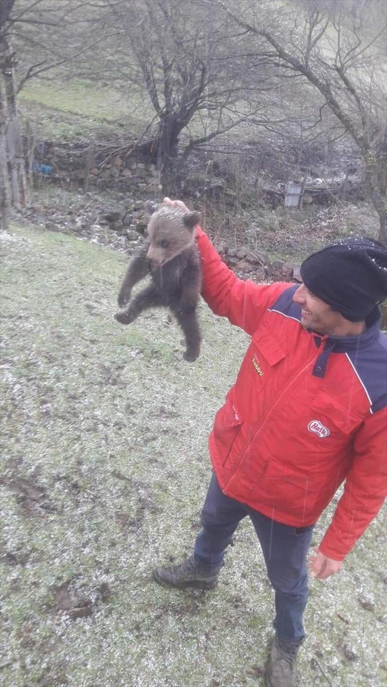 Ağaçta mahsur kalan yavru ayıyı kurtardı