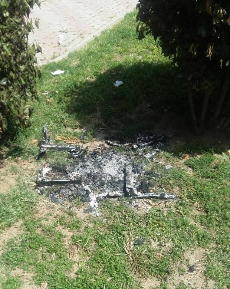 İzmirde parkta vahşet Kediyi diri diri yaktılar