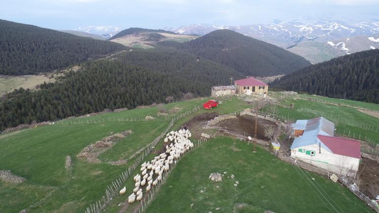 Karadenizde yayla göçü başladı