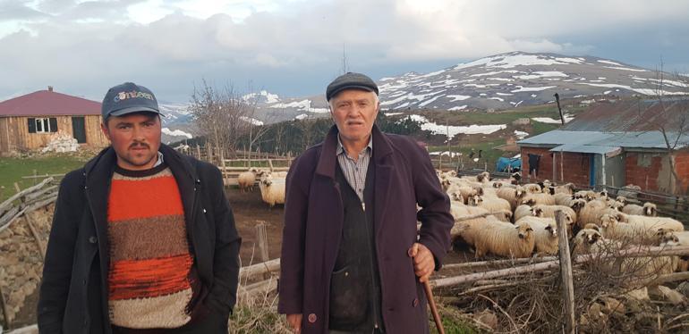 Karadenizde yayla göçü başladı