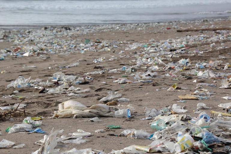 Plastik kirliliği için ‘Dünyanın en uzun canlı yayını’
