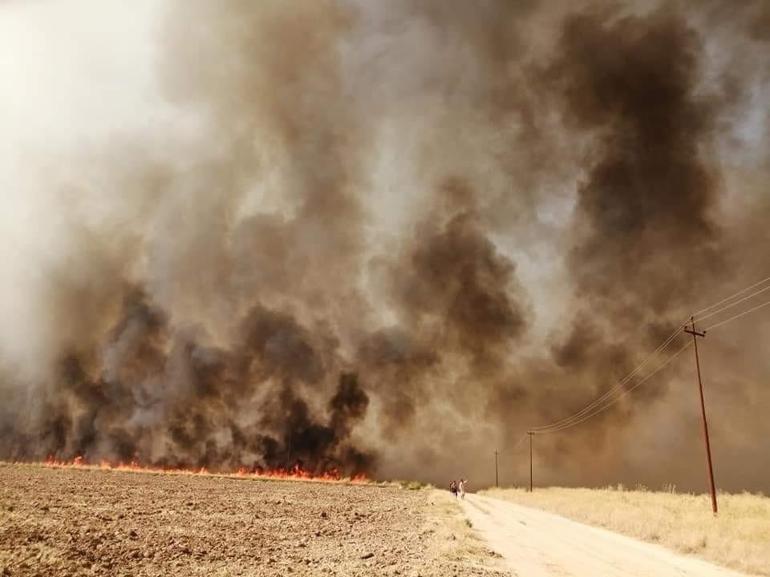 Irak’taki tarla yangınlarının sebebi: İhmalkarlık