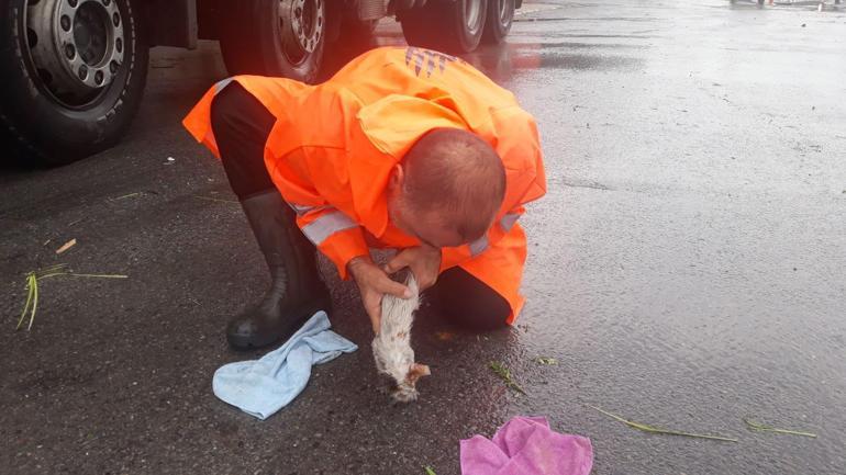 Yavru kediyi suni teneffüsle kurtaran belediye işçisi: Biz üzerimize düşen görevi yaptık, mutluyuz