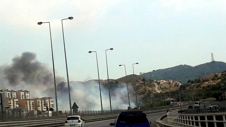 İzmir-Balçovada orman yangını