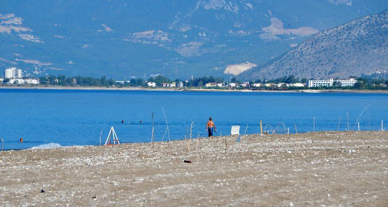 Kaplumbağa yuvalarına tehdit: Yuvalama kafeslerini çöp sanıyorlar