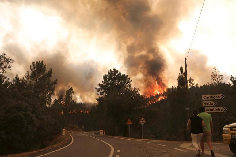 Portekizdeki orman yangınında yaralı sayısı 31e çıktı