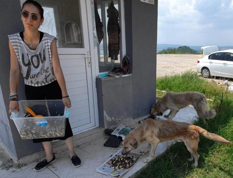 Gönüllü Pati Dostları, mama desteği bekliyor