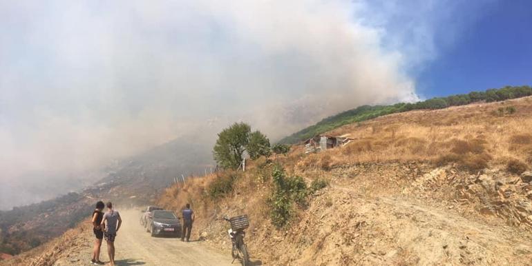 Son dakika Marmara Adasındaki yangın kontrol altına alındı