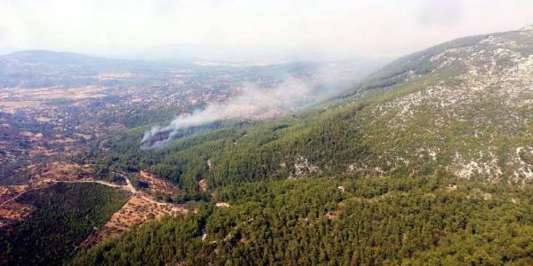 Milasta orman yangını