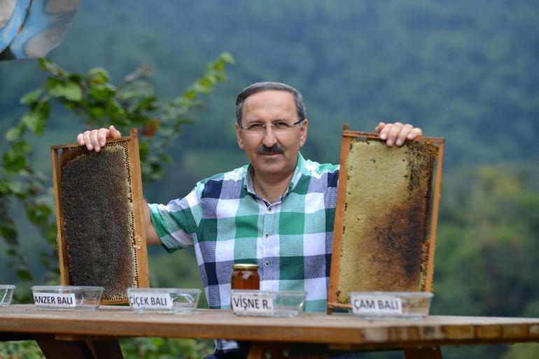 Trabzonda bir arıcı ayılara bal testi yaptı