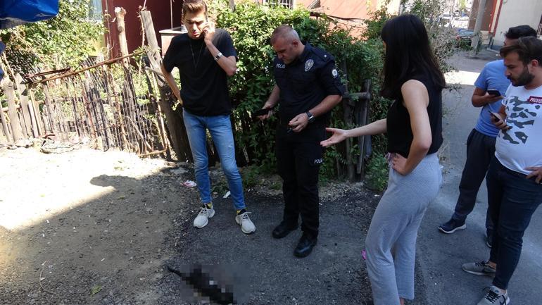 Ayakları kesilmiş kedi polisi harekete geçirdi
