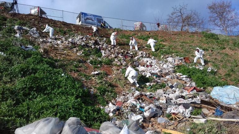 İSTAÇ, Büyükadada 25 ton çöp ve atık topladı