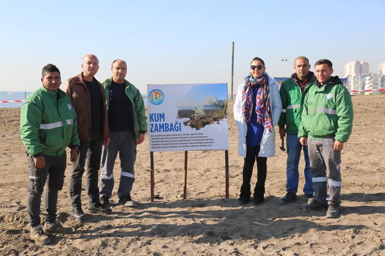 Kum zambakları Mersinde koruma altına alındı