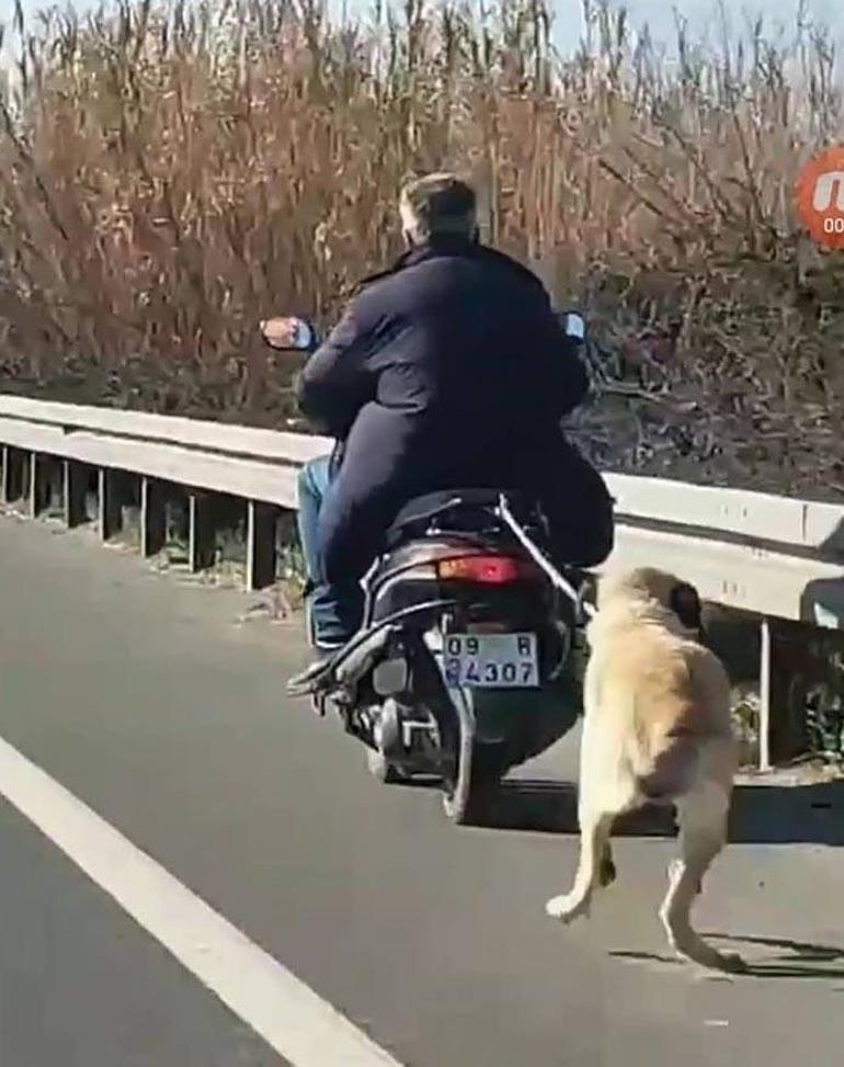 Köpeği motosiklete bağlayan adama para cezası