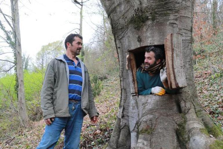 Koronavirüsten korunmak için ağaç kovuğuna girdi