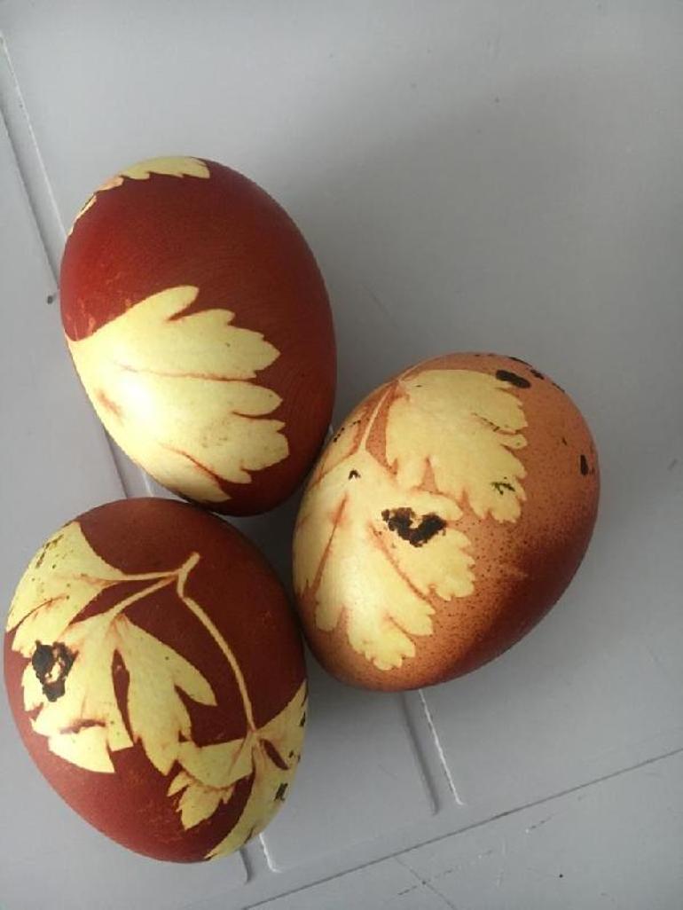 Maydanoz desenli yumurta yumurtladı