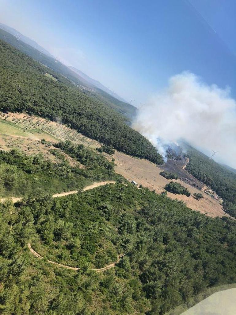 Son dakika... İzmirde ormanlık alanda yangın çıktı | Video