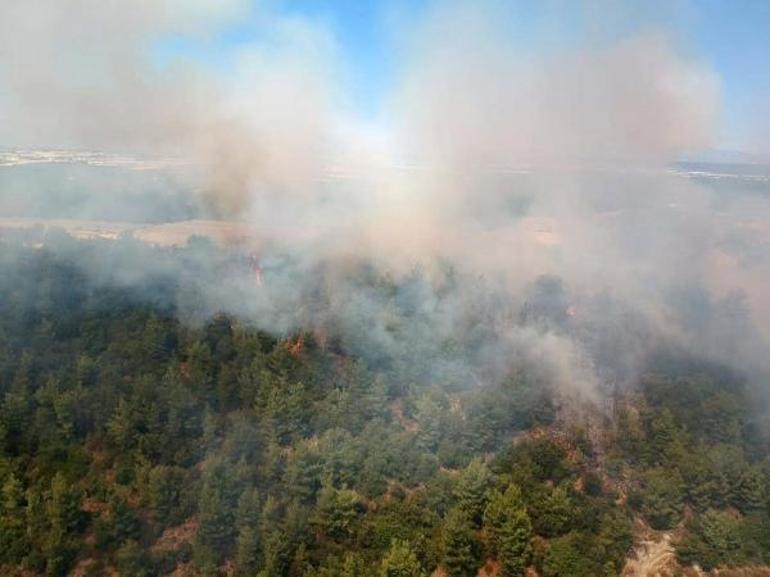 Son Dakika... Antalya Aksuda orman yangını