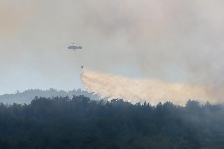Son dakika... İzmirin Menderes ilçesinde orman yangını | Video