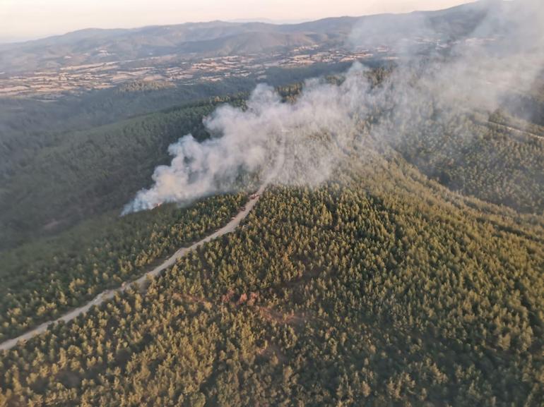 Bakan Pakdemirli, Çanakkaledeki orman yangınını havadan koordine etti