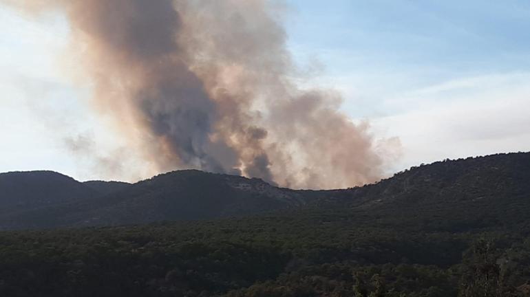 Ankarada orman yangını Helikopterle destek veriliyor
