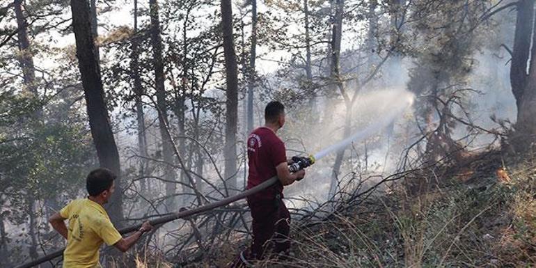 Son dakika haberi... Zonguldakta orman yangını 100 dönümlük alan etkilendi | Video