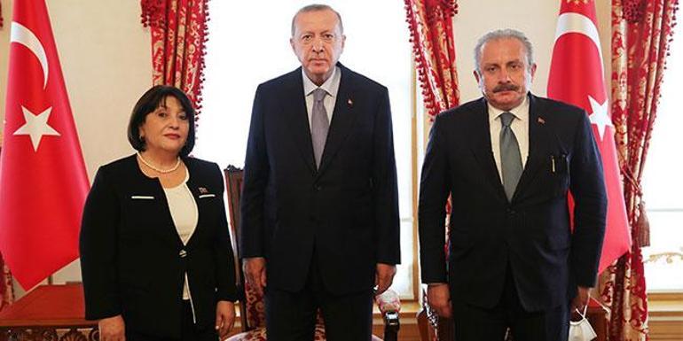 Son dakika haberi... Cumhurbaşkanı Erdoğan, Azerbaycan Milli Meclis Başkanını kabul etti