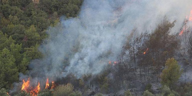 Son dakika haberi... Antalyada orman yangını