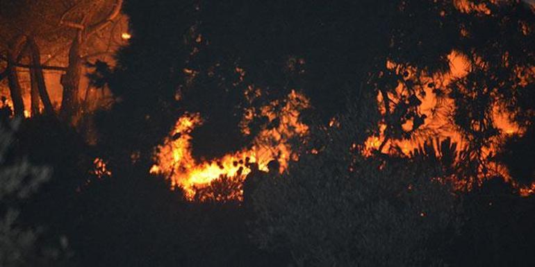Son dakika haberi... Balıkesirde korkutan yangın