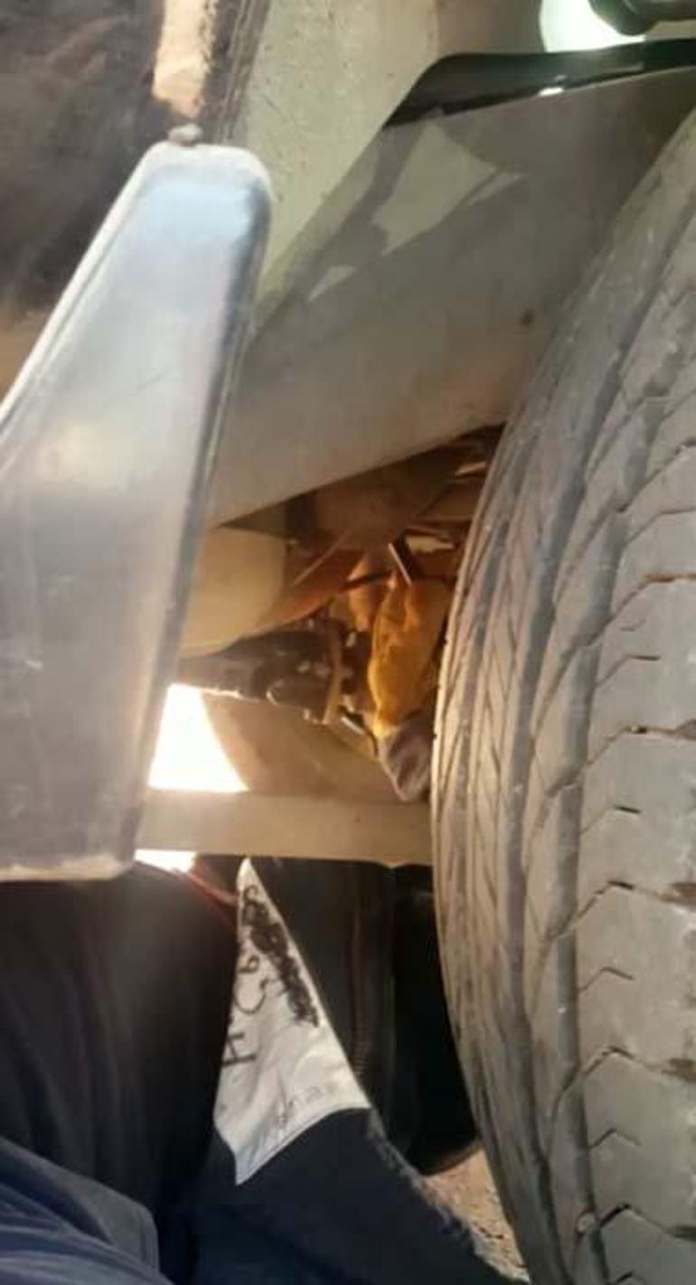 Sümer Ezgünün aracının motoruna giren kediyi, itfaiye çıkardı