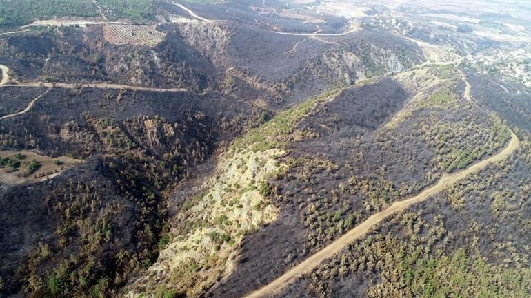 82 yılda Türkiyede Kıbrıs’ın bir buçuk katı kadar orman yandı