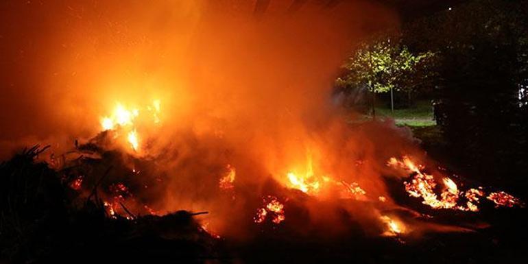 Trabzonda parkta yangın çıktı